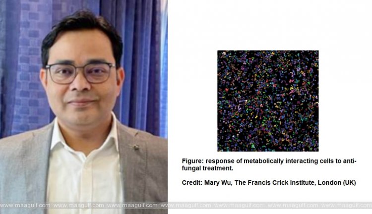 Researchers from the UAEU reveal a mechanism that leads to tolerance of antimicrobial drugs